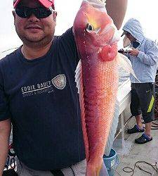 海龍丸(福岡) 釣果