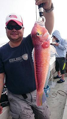 海龍丸(福岡) 釣果