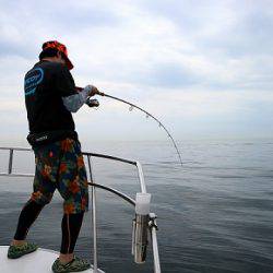 フルコンタクト 釣果