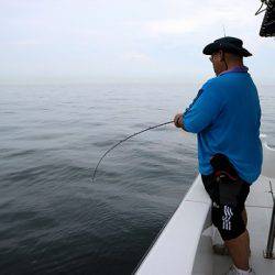 フルコンタクト 釣果