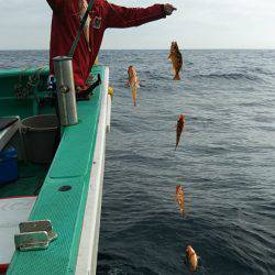 モンロー号 釣果