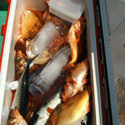 モンロー号 釣果