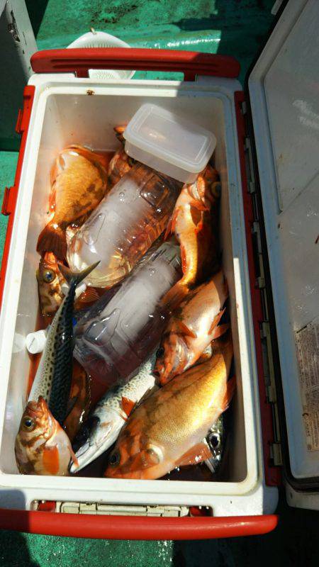 モンロー号 釣果