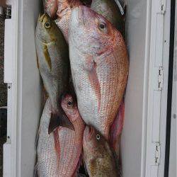 マタウマリンサービス 釣果