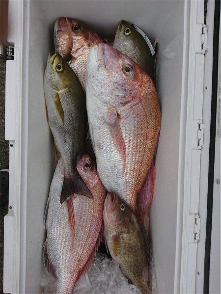 マタウマリンサービス 釣果