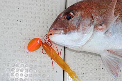 松本釣船２ 釣果