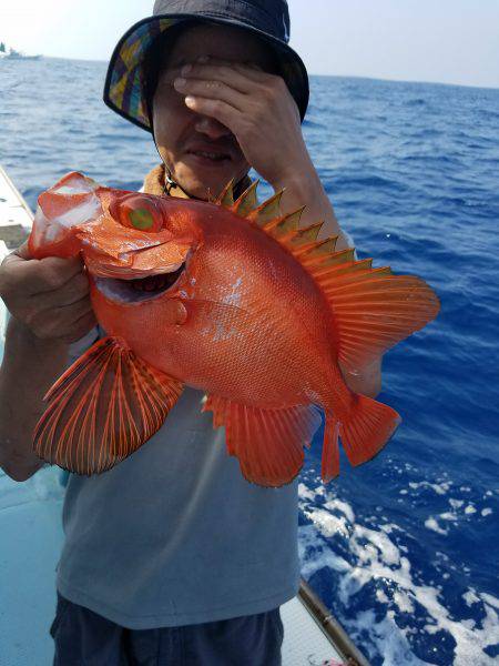 香織丸 釣果