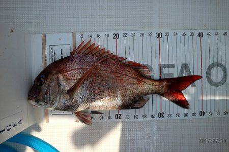 フルコンタクト 釣果