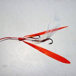 フルコンタクト 釣果