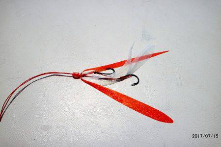 フルコンタクト 釣果