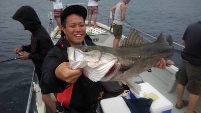 翔英丸 釣果
