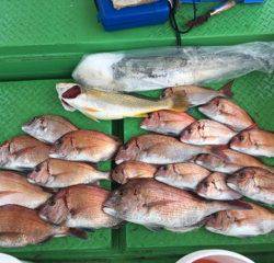 利弥丸（としやまる） 釣果