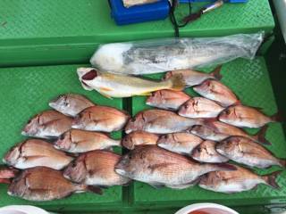 利弥丸（としやまる） 釣果