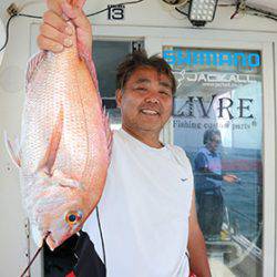 松本釣船2 釣果