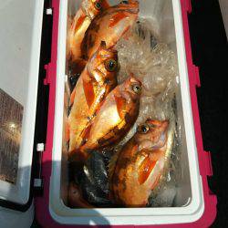 モンロー号 釣果