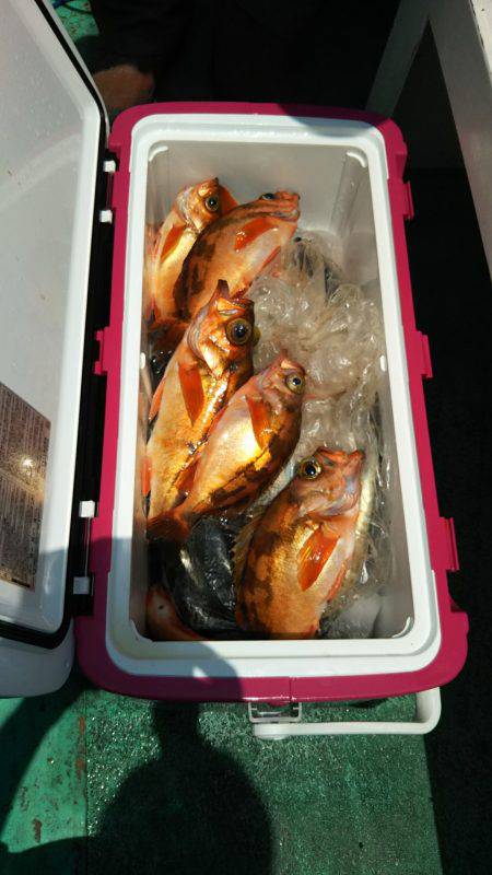 モンロー号 釣果