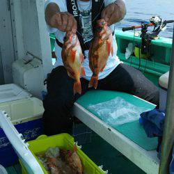 モンロー号 釣果