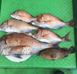 利弥丸（としやまる） 釣果