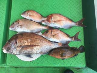 利弥丸（としやまる） 釣果