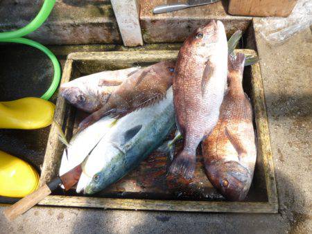 海釣り公園みかた 釣果