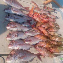 旭星釣りセンター 釣果