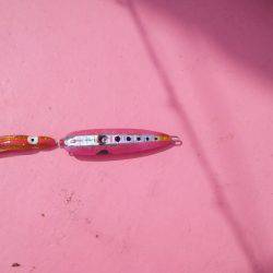 第八平成丸 釣果