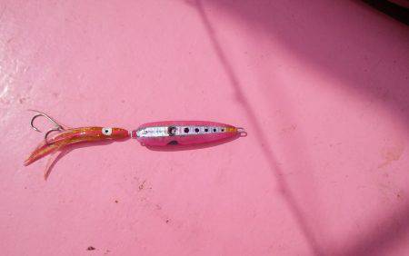 第八平成丸 釣果