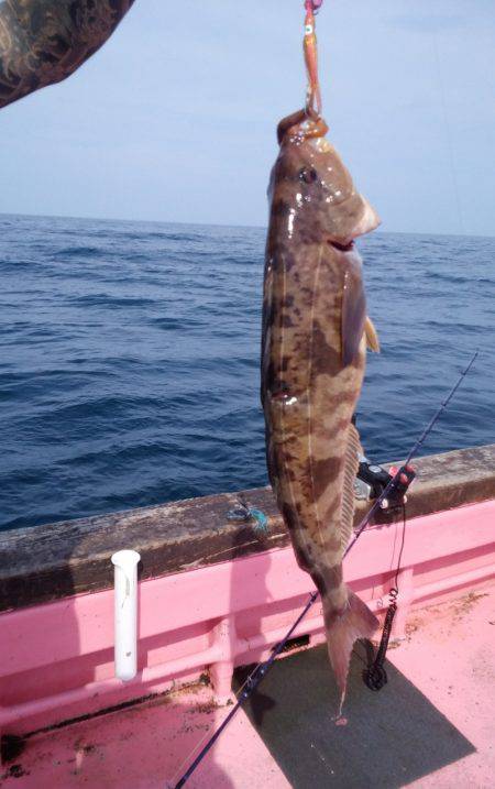 第八平成丸 釣果