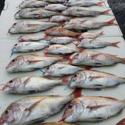 オーフリー 釣果