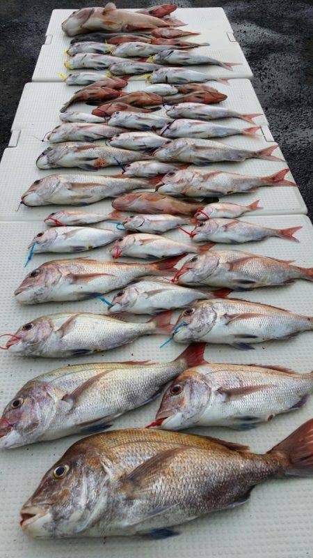 オーフリー 釣果