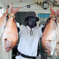 松本釣船2 釣果