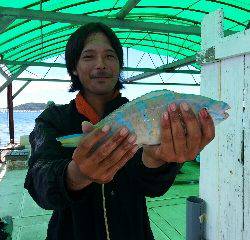 本部釣りイカダ 釣果