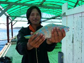 本部釣りイカダ 釣果