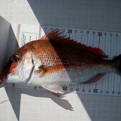 フルコンタクト 釣果