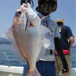 マタウマリンサービス 釣果