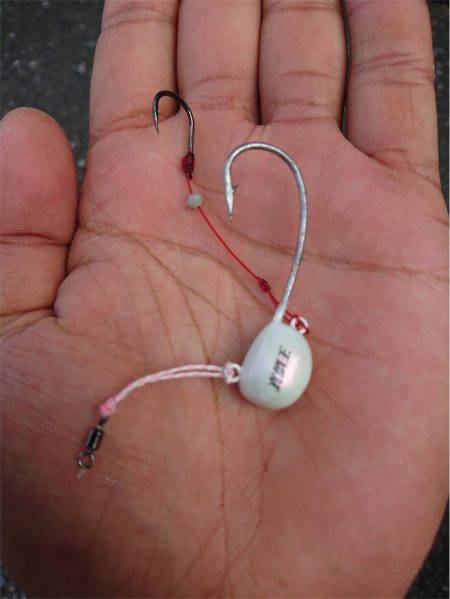 マタウマリンサービス 釣果