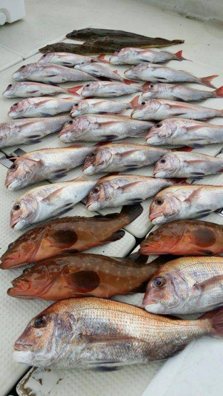 オーフリー 釣果