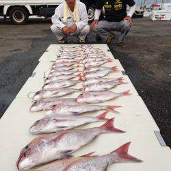 オーフリー 釣果