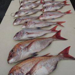 オーフリー 釣果