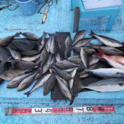 海宝丸 釣果