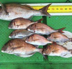 利弥丸（としやまる） 釣果