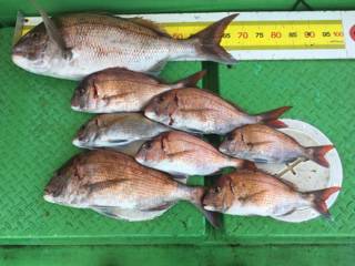 利弥丸（としやまる） 釣果