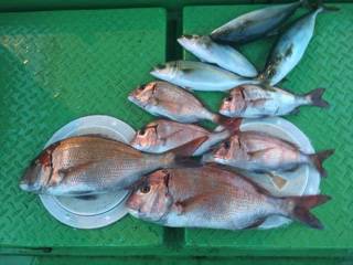 利弥丸（としやまる） 釣果