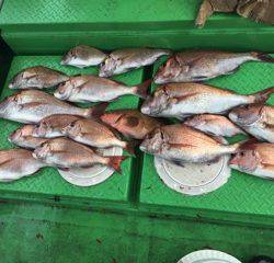 利弥丸（としやまる） 釣果