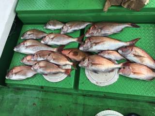 利弥丸（としやまる） 釣果