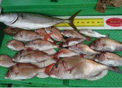 利弥丸（としやまる） 釣果