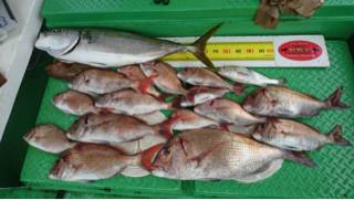 利弥丸（としやまる） 釣果