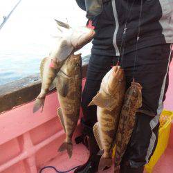 第八平成丸 釣果