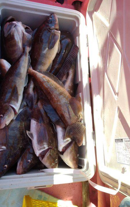 第八平成丸 釣果