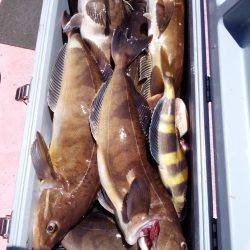 第八平成丸 釣果